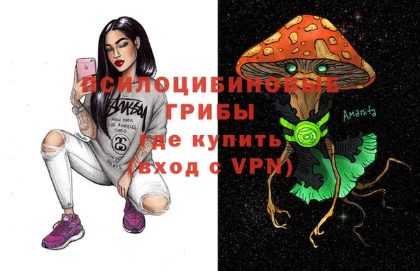 сатива Алзамай